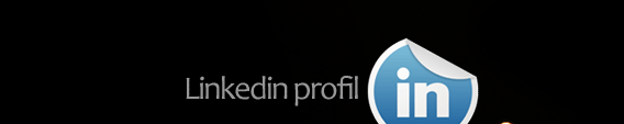 stephane estevez linkedin
